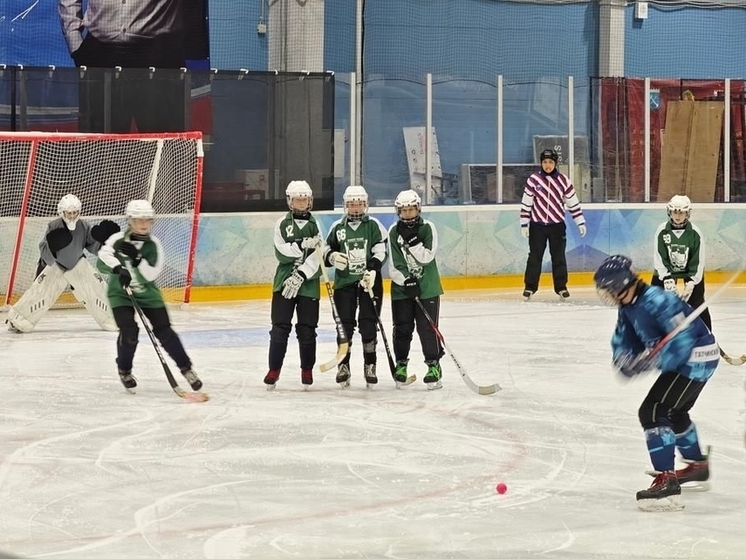 Подростки из Всеволожского района победили в первенстве по хоккею с мячом