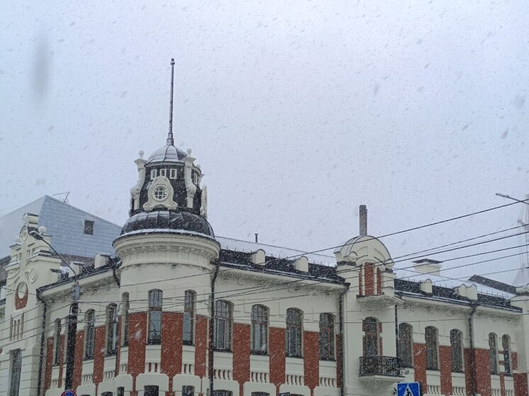 Мокрый снег и порывистый ветер задержатся в Алтайском крае до 13 ноября