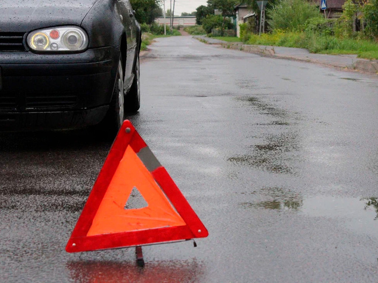 В Липецкой области водитель легковушки погиб в столкновении с грузовиком