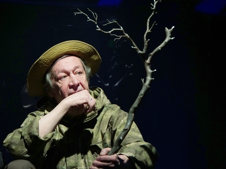 Директор театра «Мастерская "12"» Попов: со здоровьем у Михаила Ефремова все хорошо