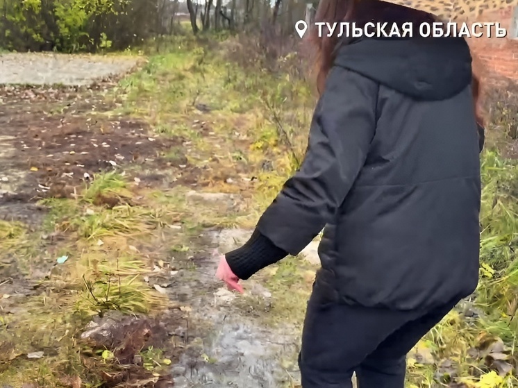 Тульский ОНФ показал убитую дорогу к новенькому ФАПу в Федяшево