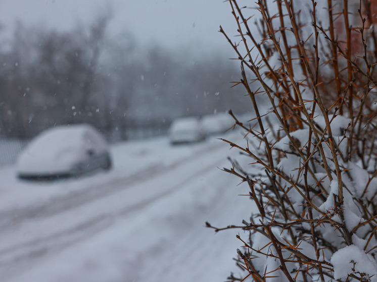На Южном Урале ночью ожидаются метели