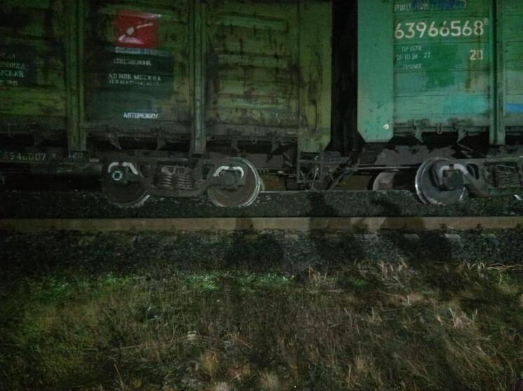 Задержанный в связи с ЧП в Ленобласти поезд прибыл в Петрозаводск