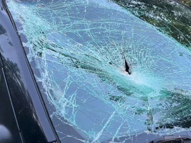 За выходные 11 человек пострадали в ДТП в Ленобласти