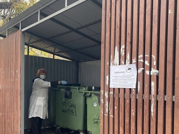 Дератизация контейнерных площадок и мусорных баков стартовала в Пензе