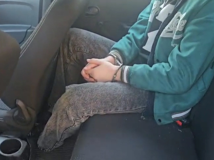 Два жителя Всеволожского района подрабатывали курьерами у мошенников