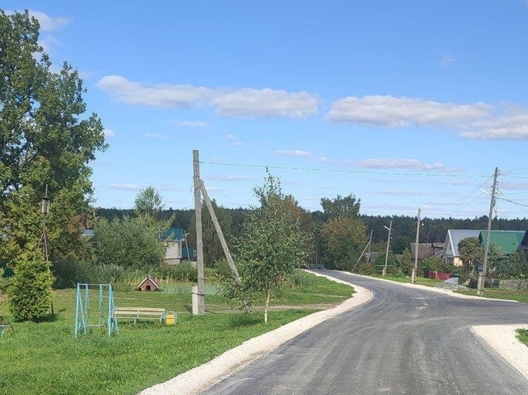 В Коврове и Ковровском районе обновлено около 12 км дорог