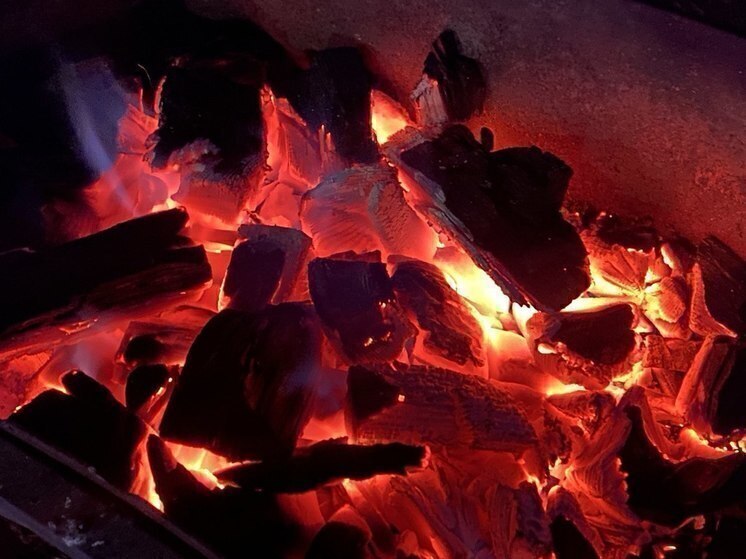 В Белгородской области выполнили 84 % плана по заготовке дров