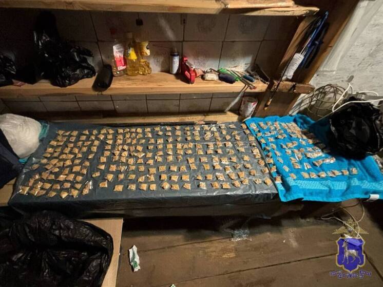 В Самаре задержан подозреваемый в покушении на сбыт 2,5 кг наркотиков