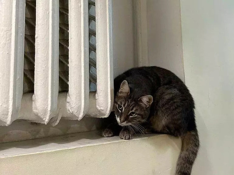 Город в Ростовской области частично остался без отопления