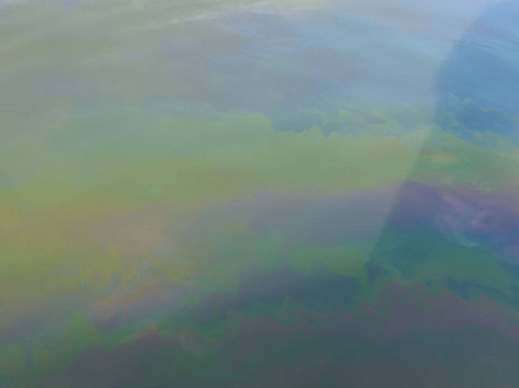 В Ростовской области Семикаракорский затон покрылся мазутом после прохода баржи