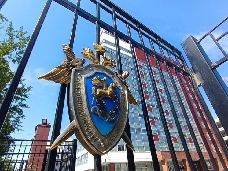 Бастрыкин заинтересовался делом о нарушении жилищных прав инвалида в Карпинске