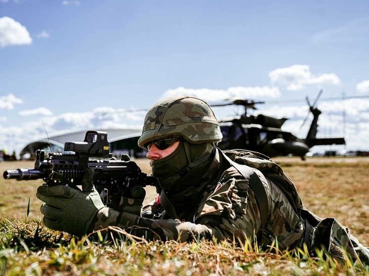 Военный эксперт, капитан первого ранга запаса Василий Дандыкин в комментарии «ВФокусе Mail» рассказал, каким может быть следующий шаг НАТО после падения киевского неонацистского режима. 