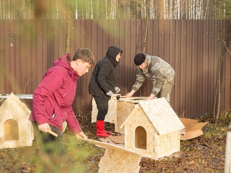 Ивановцы поддержали всероссийскую акцию помощи приютам для животных