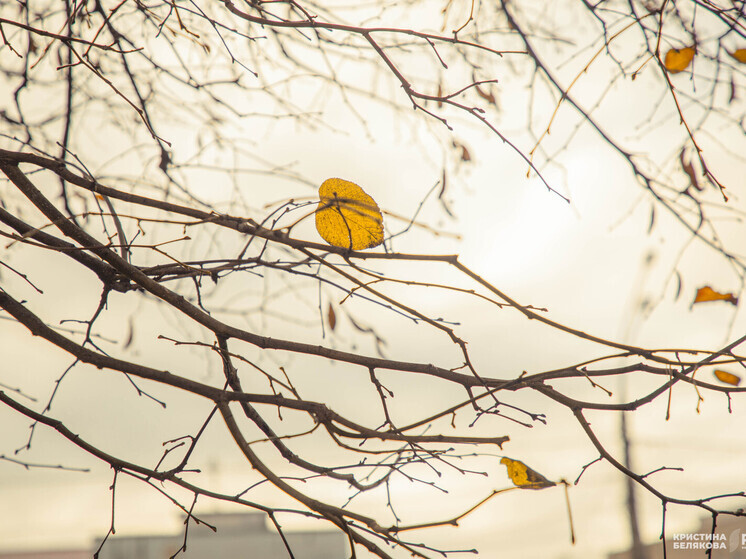 Синоптики рассказали о первом снеге в Тверской области