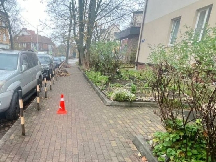 Самокатчик сбил прохожего в Калининграде и скрылся с места аварии