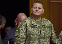    Похоже, Зеленскому на Западе все же ищут замену