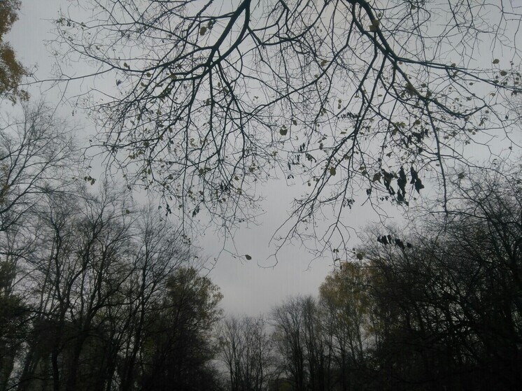 Похолодание в Перми сменится потеплением