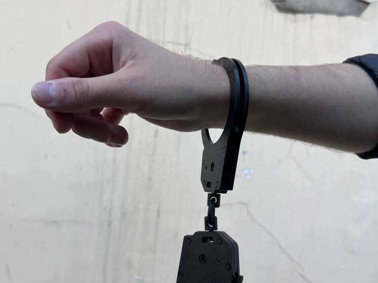 На проспекте Луначарского поймали грабителя с богатым уголовным прошлым