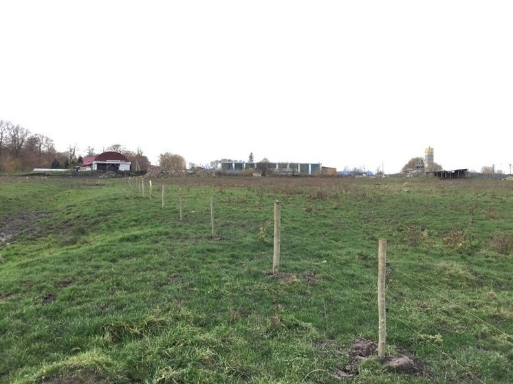 Более гектара муниципальной земли незаконно заняли под Зеленоградском