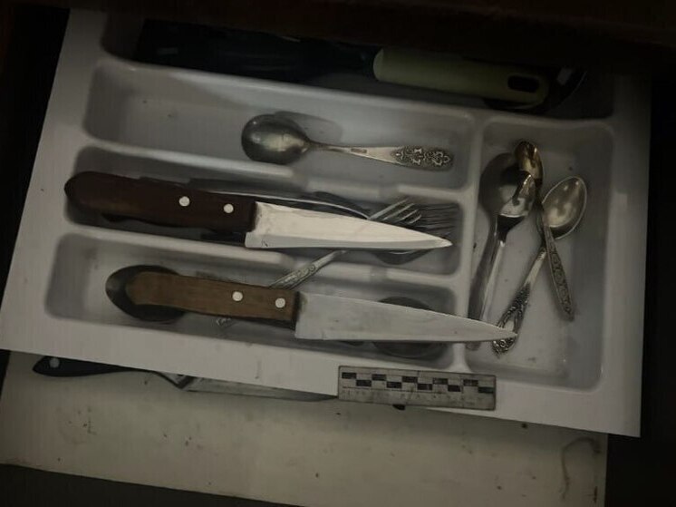 Калининградка ответит за кухонный нож в сердце бывшего мужа