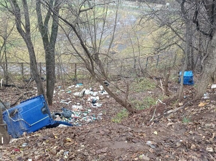 Вандалы систематически уничтожают контейнерную площадку в Кирове