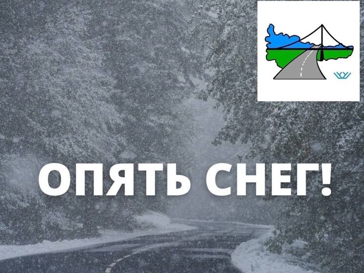 На трассах ХМАО введены ограничения из-за метелей