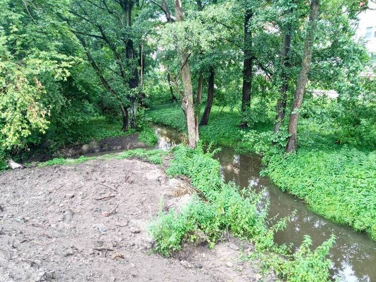 Власти Калининграда заткнули 16 незаконных сбросов в Товарную реку