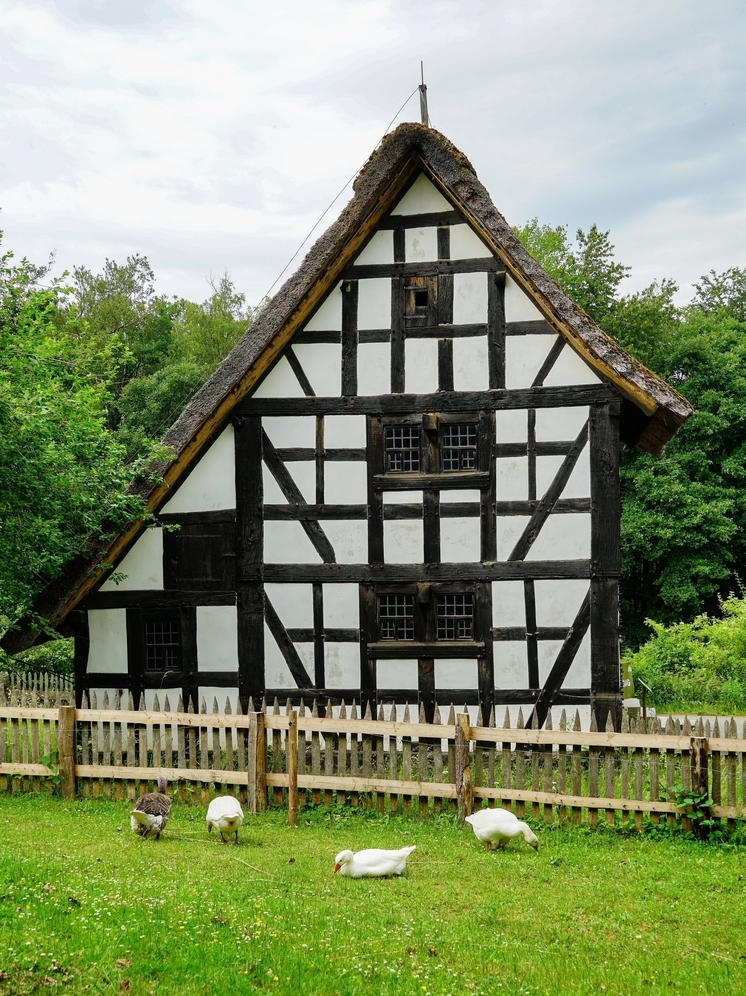 Немецкую деревню в Арманихе строить не будут