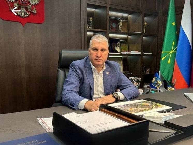 Депутат Батырбий Панеш: В МВД можно сохранить кадры, опираясь на предложения ЛДПР