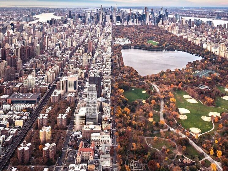 Владелец дорогой недвижимости в Нью-Йорке незаконно вырубил деревья в парке