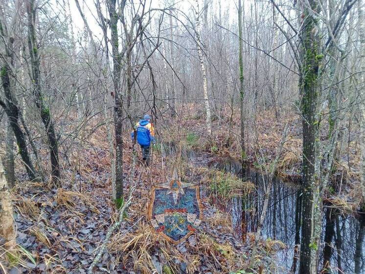 Двое мужчин заблудились и более суток провели в лесу в Киришском районе