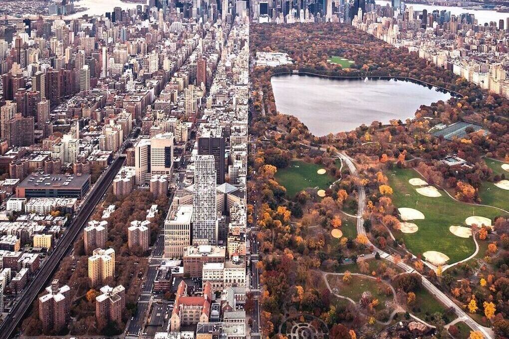 Живущий в элитном районе пенсионер уничтожил городские деревья ради вида из дома