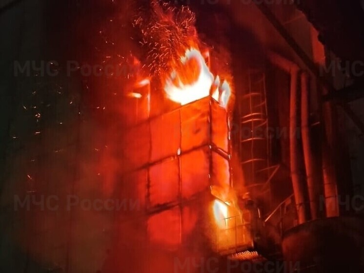 В Орловской области огонь повредил сушилку элеватора и подсолнечник на 50 квадратных метрах