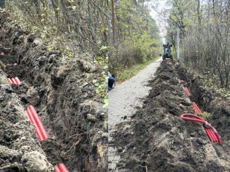 Трактор обрубил корни кустарников в воронежском «Танаисе»