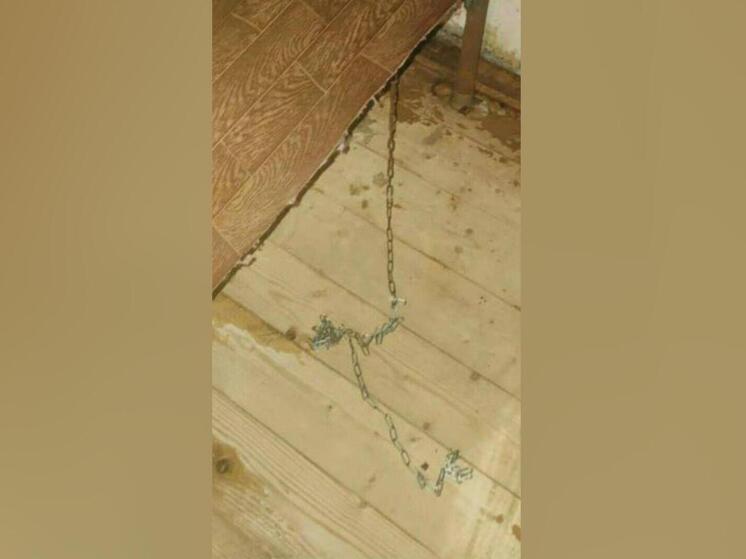 Сообщение о том, что в деревне Пожаре Вологодской области правоохранители в одном из домов обнаружили прикованную к кровати цепью пенсионерку, вызвало широкий общественный резонанс