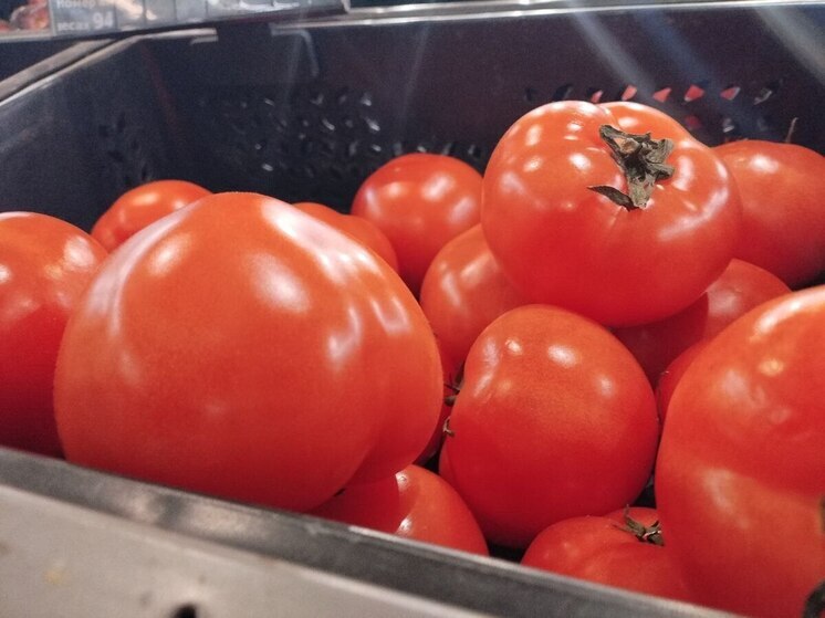 Южноамериканская моль добралась до калининградской таможни