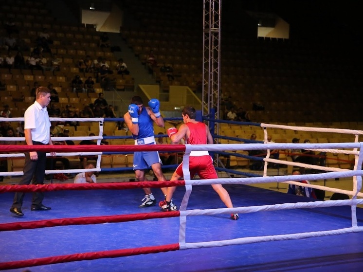 Волгоградские боксеры завоевали две золотых медали на европейском первенстве