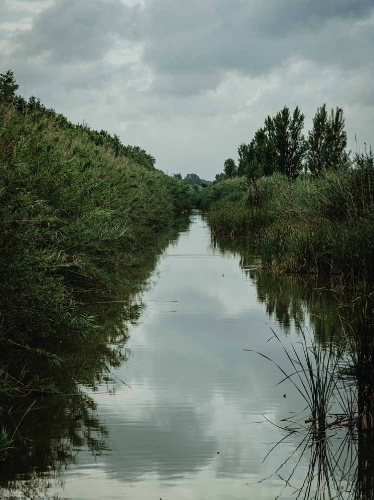 Очередная трагедия: в деревне Шацкие Выселки из реки достали тело утонувшего мужчины