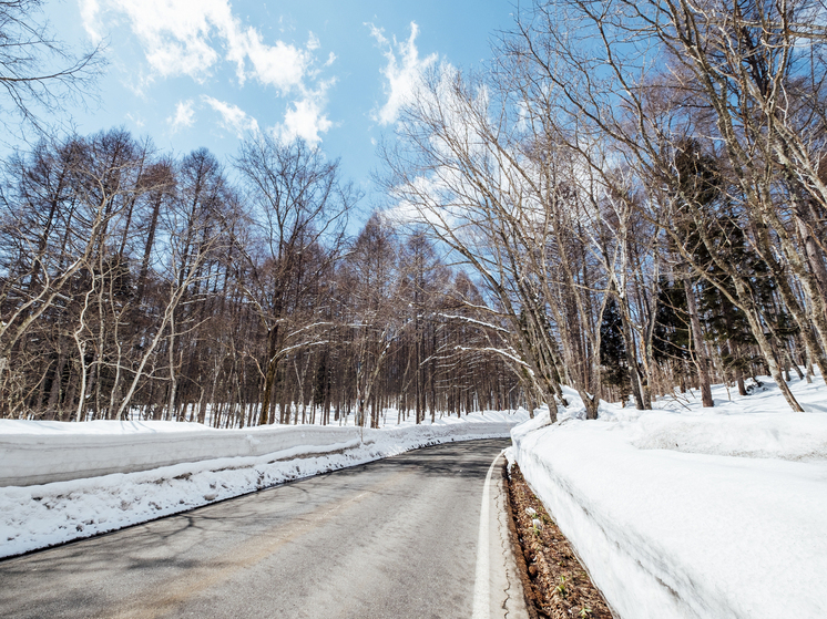 В Херсонской области более 70 единиц спецтехники подготовили к работе зимой