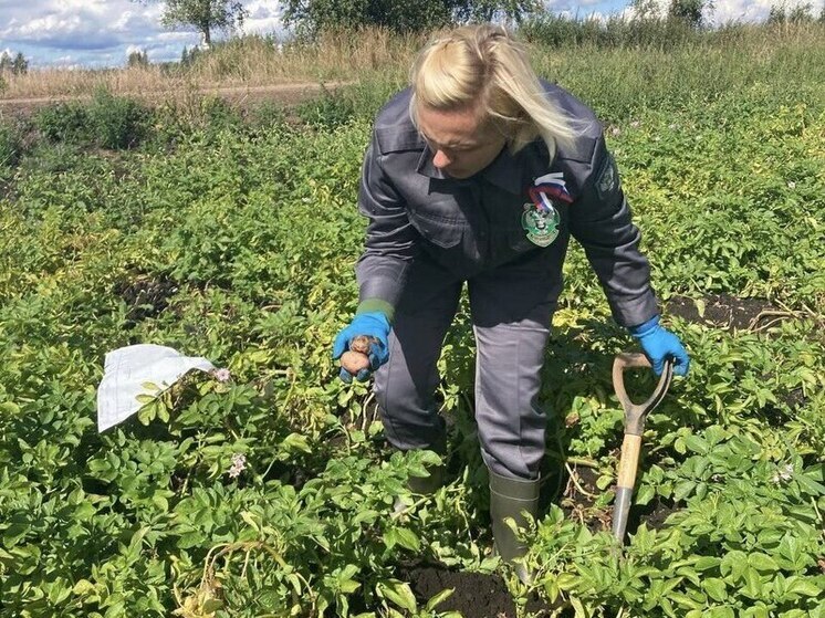 Управление Россельхознадзора по городу Москва, Московской и Тульской областям удалило со своего сайта информацию о нарушении, которое было выявлено в ходе проверки АО "Тульская Нива"