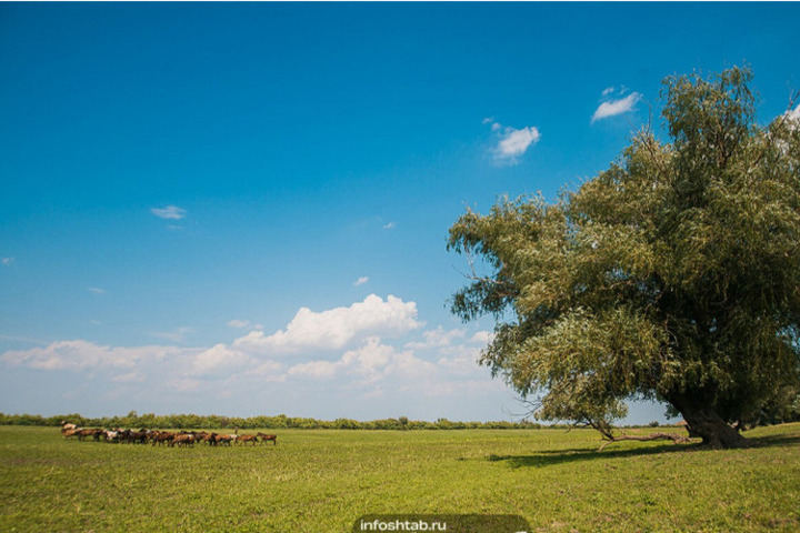Астраханцам объяснили, какие постройки под строгим запретом на садовых участках