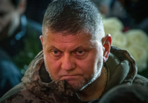 Бывший главком ВСУ, а ныне посол режима Зеленского в Лондоне генерал Валерий Залужный не умеет правильно считать до сорока