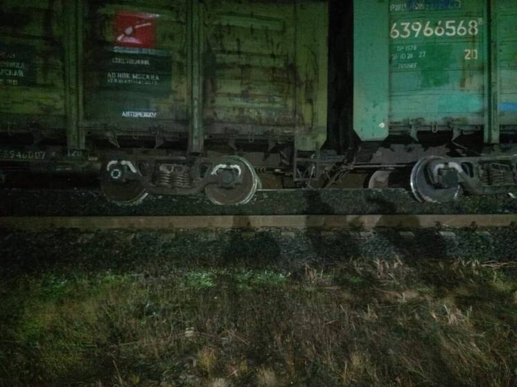 Сход вагонов в Ленобласти задержал поезд из Петербурга в Петрозаводск