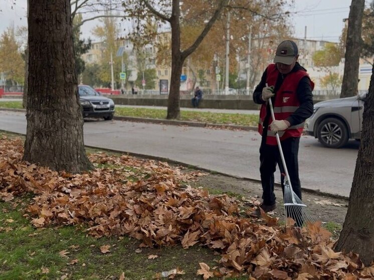 Более 200 человек ежедневно задействовано в уборке Керчи