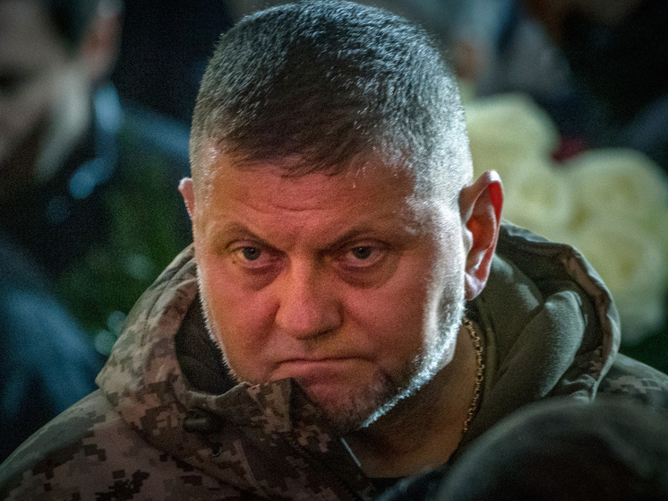 Бывший главком ВСУ, а ныне посол режима Зеленского в Лондоне генерал Валерий Залужный не умеет правильно считать до сорока