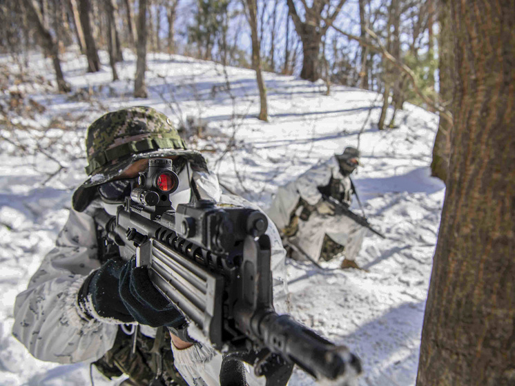 NetEase: украинский конфликт обнажил неэффективность тактики американского спецназа