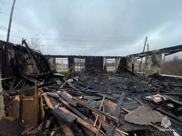 В Волгоградской области из-за пожара пострадала женщина