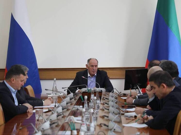 В Дагестане участникам СВО и их семьям предоставили 152 соцконтракта на ведение ЛПХ