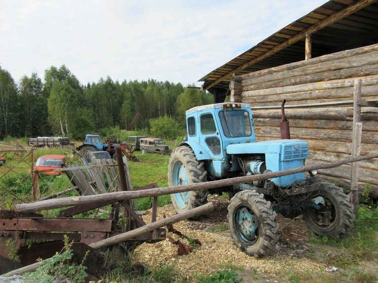 Вадим Шумков назвал зауральский урожай «просто отличным»